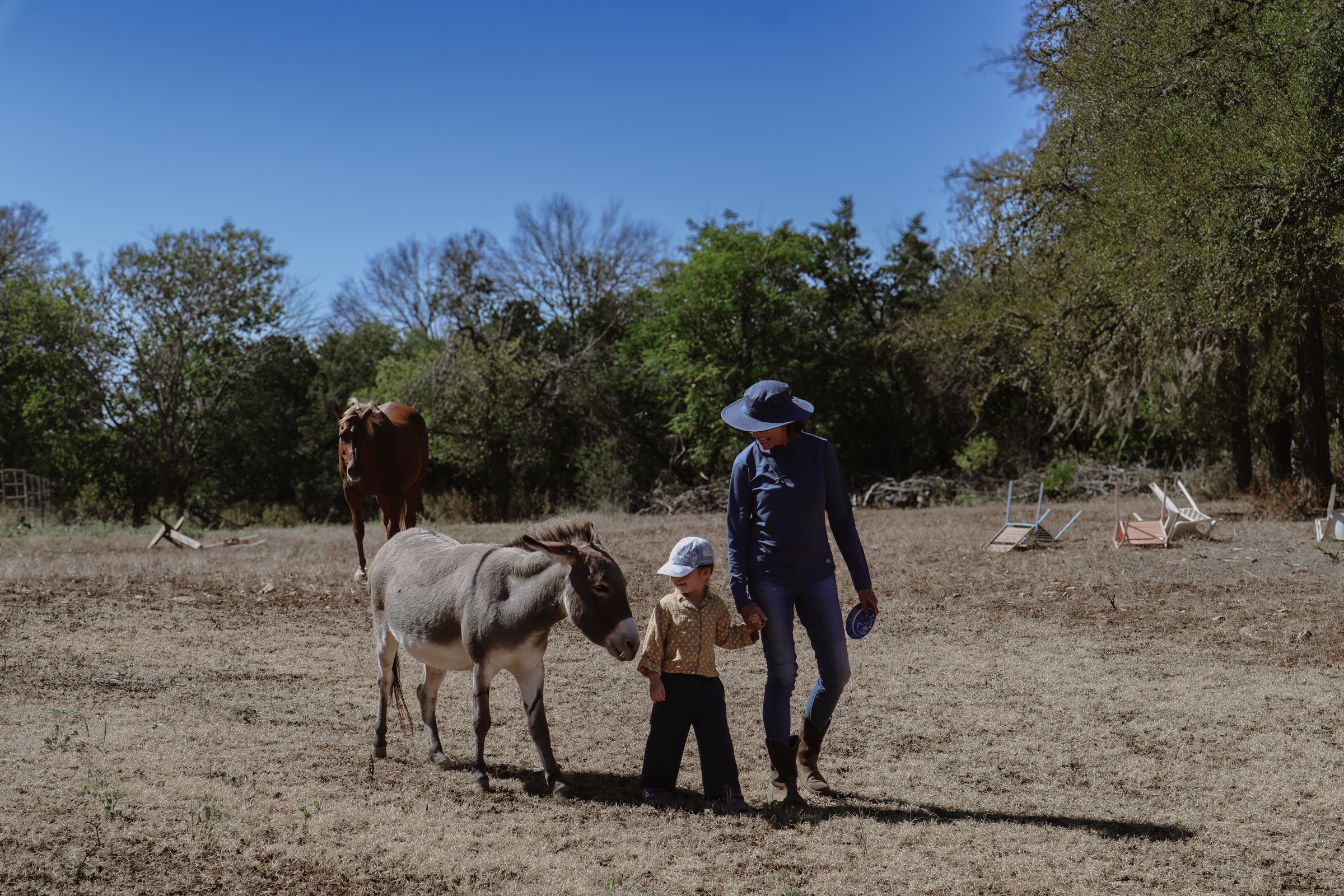 A grandmother and her grandchild walking hand in hand beside a donkey in a Texas field