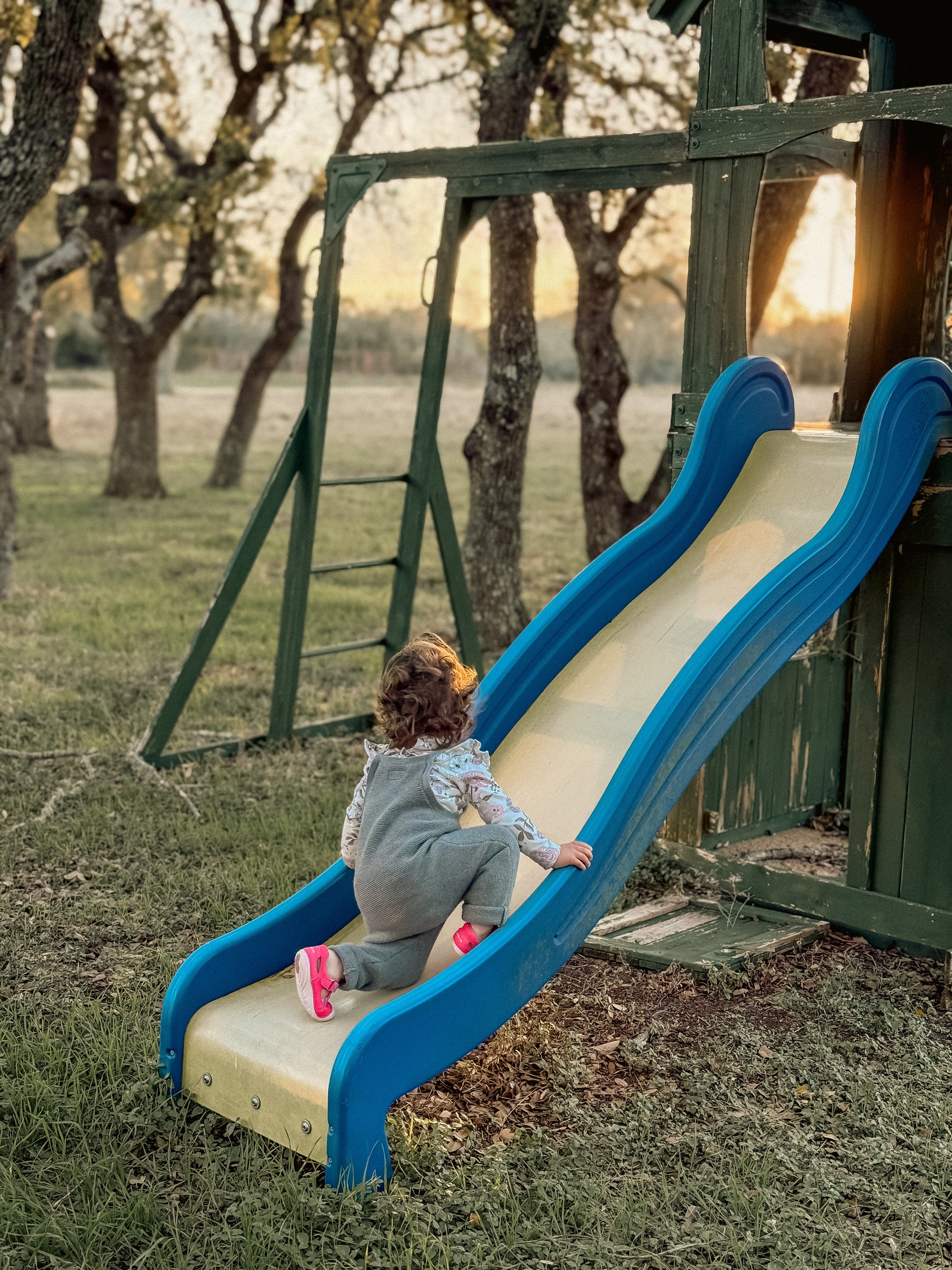 A toddler climbing a backyard slide at golden hour under Texas oak trees